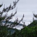 조현덕농장 이미지