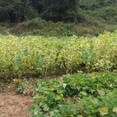 별장펜션 이미지