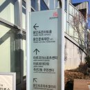 반월태권도아카데미주식회사 | 판타지 퍼포먼스 구미호 보러 포은아트홀 에 용인여행 다녀왔어여