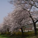 동천 수변공원 이미지