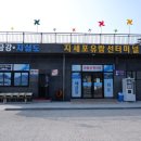 부산 근교 여행지 거제 지심도 유람선 배편 후기
