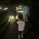 2023년 제주도 가족백패킹