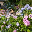 송림공원 건너 이미지