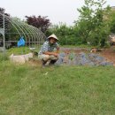 농사꾼농장 이미지