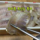 조아홍 홍어 흑산도 홍어 숙성 후기, 초장에 찍어먹은 목포홍어 찐리뷰