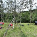 가온공원 이미지