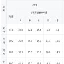 엄마 왜 중학교 성적이 AAA인데 자꾸 공부하라는거에요? 이미지