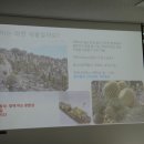 꽃과 식물로 정원가꾸기 이미지