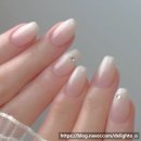네일바이욤