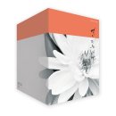 레드존+ I 이미지