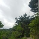 낙동강세평하늘길 이미지