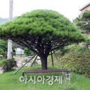 하늘빛수목원