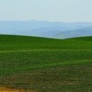 켈리포니아 이미지