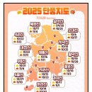 2025년 가을단풍명소 가이드 이미지