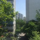 서초중앙로29길 28 이미지