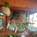 장춘황토마을 이미지