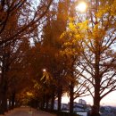 새아리랑식당 이미지