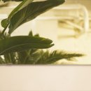 보수사거리약국 이미지