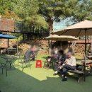 안성면063 | [전북/무주] 원조 해물갈비짬뽕과 머루소스탕수육이 유명한 '천마루' 덕유산 근처 맛집으로 추천!