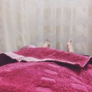 숭실한의원 이미지