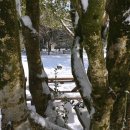 어사또목장 | 2019 제주도 여행 4일차