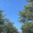 하늘호수민박 | 하동 sns 유명카페 하늘호수차밭 솔직후기(+ 한번이면 만족함)