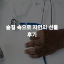 자연의선물 | 숲길 속으로 자연의 선물 후기