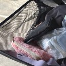 보경 동물병원 | 벌써 2025년 11월 .. - 1편