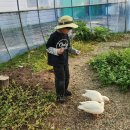 센트럴 곤충생태농장 | 화성·수원 근교 아이랑 갈만한 곳 🐛 센트럴곤충생태농장 후기