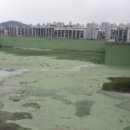 삼각동 824-1 이미지