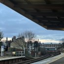 인싸피시 이미지