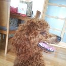 부산대학병원 앞 이미지