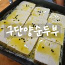 구단양순두부 | 단양 맛집 허영만 백반기행에 나온 &#39;구단양순두부&#39; 내돈내산 후기(+메뉴)