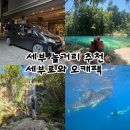 세부로와 | 세부 놀거리 추천 세부로와 오슬롭 캐녀닝 오캐팩 후기
