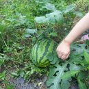 옛터농장 이미지