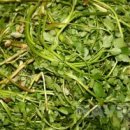 신우가스 이미지