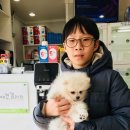 애견갤러리 강아지분양 애견샵 이미지