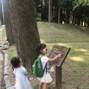 딸기 어린이집_승합차 | [한국육아체험?!] 노르웨이에서 한국으로:적응기