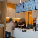 맘스터치 이미지