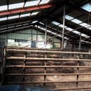 한우축사 이미지