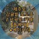색달경로당 | [제주도] 서귀포 카페 / 감귤밭 카페 - 풀베게 메뉴, 가격, 후기
