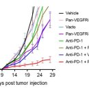한독동물병원 이미지