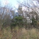 귀촌펜션 이미지