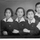 박인희 Daum카페