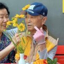 아빠와소풍