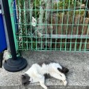 한산면옥 이미지