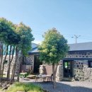 스테이애옥 이미지