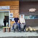 금보농장 이미지