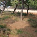 큰소나무농장 이미지