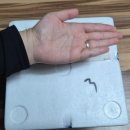 명성목장 | 싱싱한 생굴추천 굴쇼핑몰 통영 생굴목장 1kg으로 어리굴젓 만든 후기